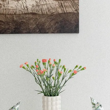 Tarsis In By Rent Like Lejlighed *