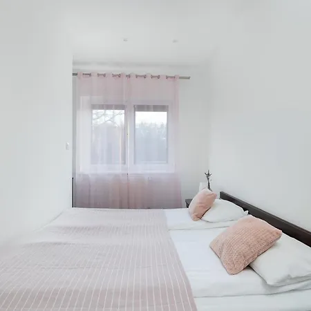 Tarsis In By Rent Like *